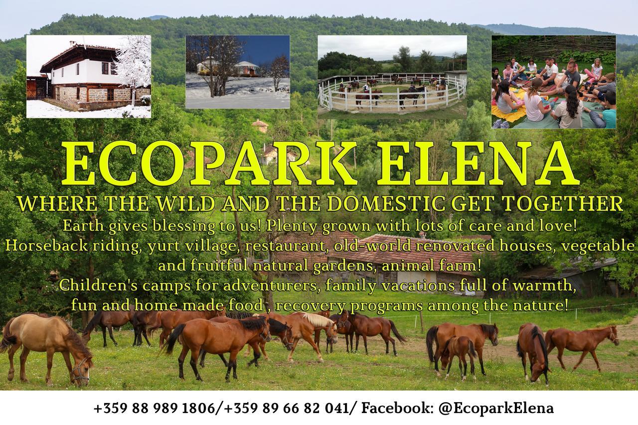 Ecopark Elena Hotell Eksteriør bilde