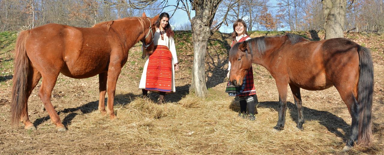 Ecopark Elena Hotell Eksteriør bilde